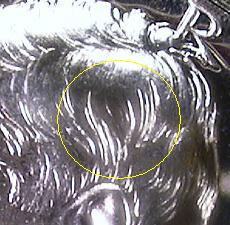 Accented Hair Closeup